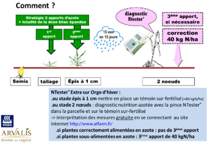 Pilotage de l’azote sur orge d’hiver avec l’exemple de la pince HN-Tester