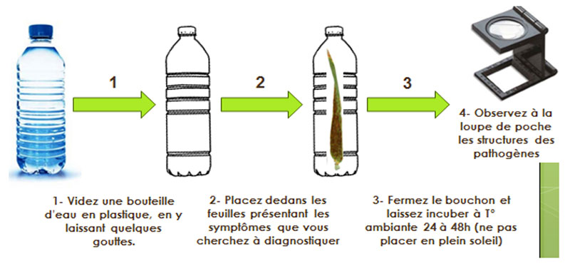 Principe de la chambre humide