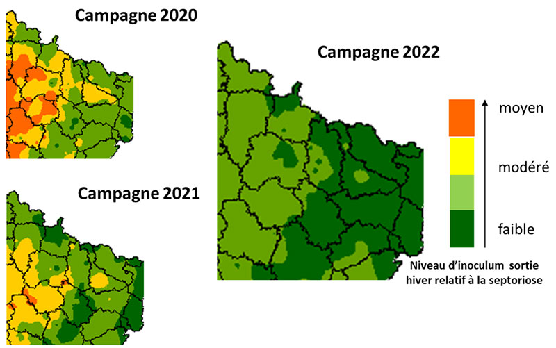 Inoculum de septoriose prévu par le modèle Septo-LIS® au stade épi 1 cm