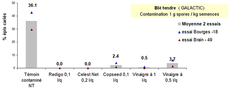 Efficacité de deux traitements autorisés en agriculture biologique pour lutter contre la carie commune transmise par les semences