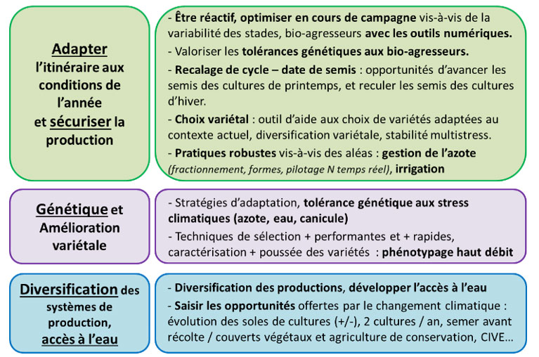 Les leviers d’adaptation des céréales à paille au changement climatique