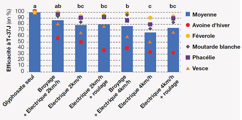 Efficacité moyenne (en pourcentage du témoin non désherbé) de destruction des couverts végétaux 37 jours après passage du XPower pour les différentes stratégies testées en novembre 2019