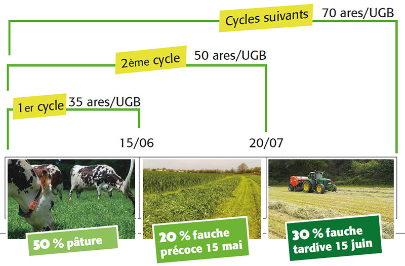 Gestion des surfaces en herbe pour un système herbager autonome