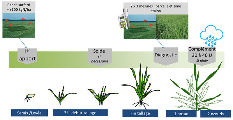 Utilisation du N-Tester sur orges de printemps