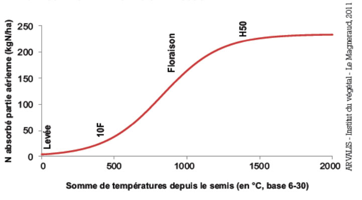 Cinétique d’absorption de l’azote par le maïs tout au long de son cycle