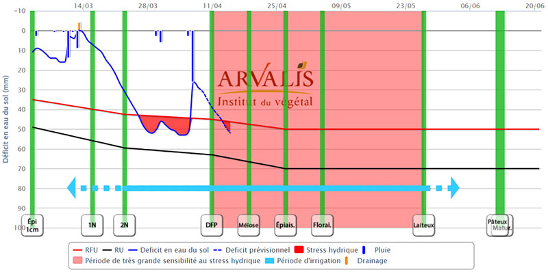Bilan hydrique sur la station météo de St Martial de Viveyrol (24), pour un sol de petite groie (RU de 70 mm), avec un semis du 20 octobre, d’une variété de précocité type Oregrain