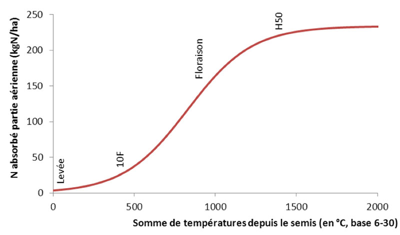 Evolution de la quantité d’azote absorbé par un maïs (en kg N/ha) en fonction des sommes de températures et de l’avancement des stades