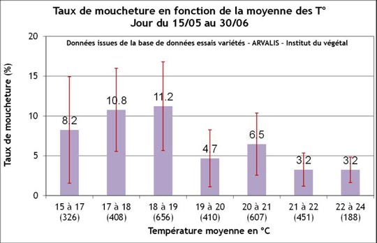 Le taux de moucheture est maximal pour une température de l’ordre de 17-19°C