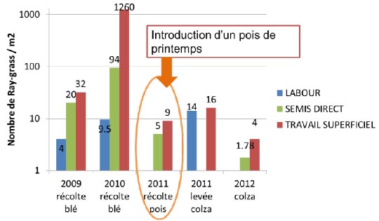 Evolution de l’infestation en ray-grass