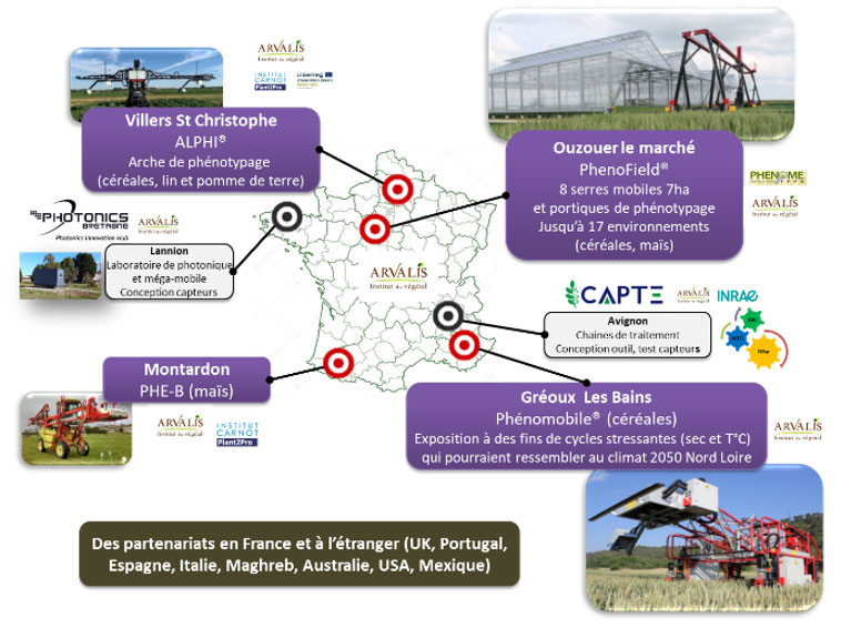Plateformes de phénotypage haut débit chez ARVALIS