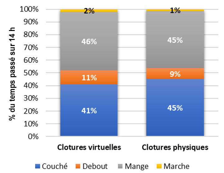 Comportement visuel