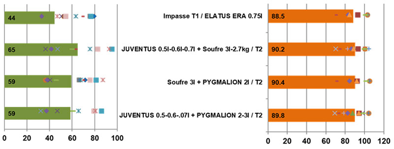 Performances des solutions fongicides