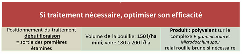 En cas de risque agronomique élevé et de pluviométrie à la floraison, un traitement fongicide devra être envisagé