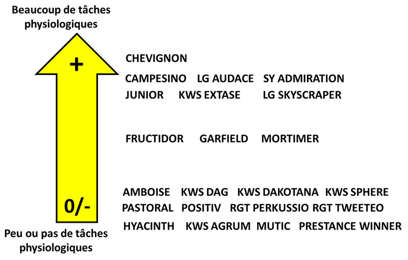 Notation des taches physiologiques au 27 avril 2022 sur l’essai variétés (51)