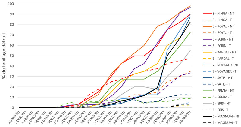 Evolution du mildiou, en % de feuillage détruit, pour les variétés du groupe 3 (majoritairement notées 6) – essai 2021