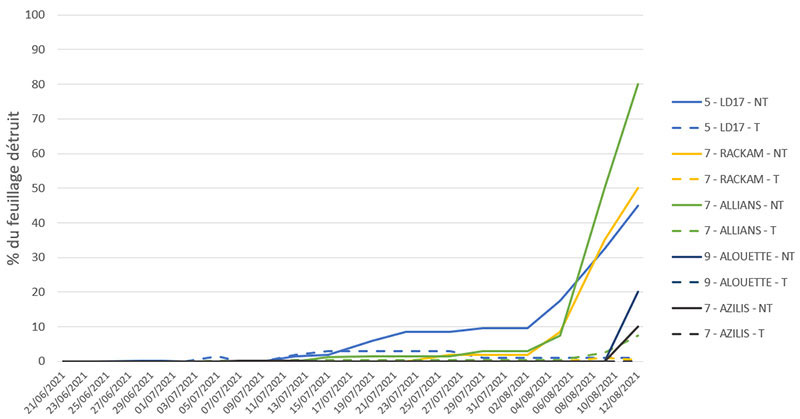 Evolution du mildiou, en % de feuillage détruit, pour les variétés du groupe 4 (majoritairement notées 7) – essai 2021