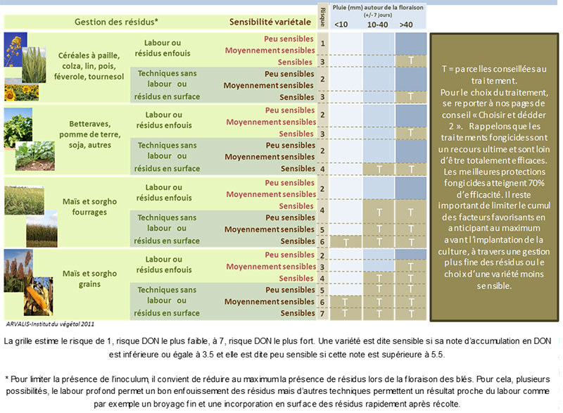 Grille d’évaluation du risque DON dans le grain de blé tendre et d’aide au traitement contre la fusariose sur épi