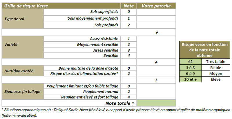 Grille d’évaluation du risque verse sur blé dur