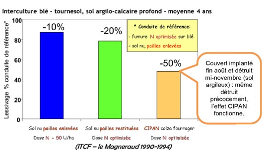 Interculture blé-tournesol