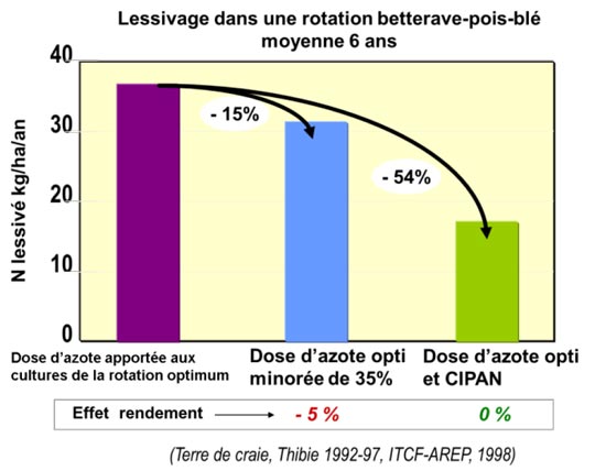 Lessivage dans rotation betterave-pois-blé