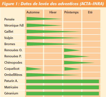 Périodes de levée préférentielle des principales adventices