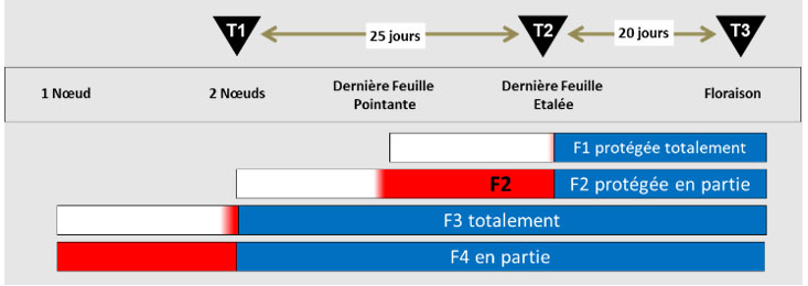 Stratégie fongicide avec un positionnement des traitements à 2 nœuds / DFE / Floraison