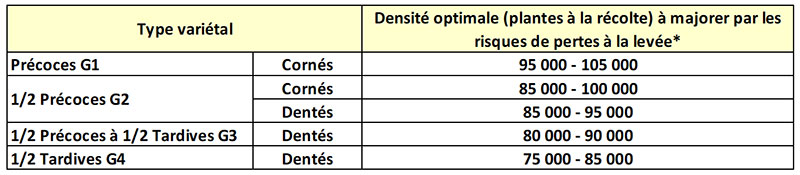 Densités optimales à la récolte du maïs, pour des écartements entre 75 et 80 cm