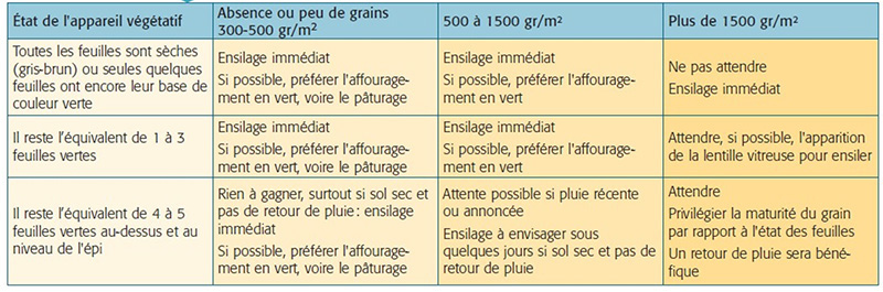 Grille d’aide à la décision d’ensiler pour un maïs fourrage en situation de stress hydrique au stade grain laiteux, en fonction du nombre de grains estimé et de l’état de l’appareil végétatif