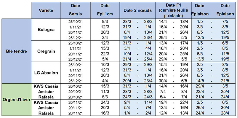 Prévisions de stades du blé tendre et de l’orge d’hiver