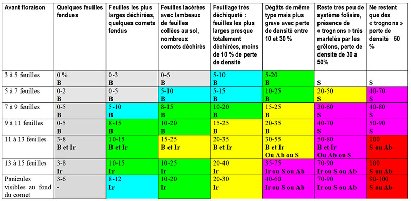 Estimation de l’impact de la grêle (pourcentage de pertes directes) selon le stade du maïs et pistes pour le limiter