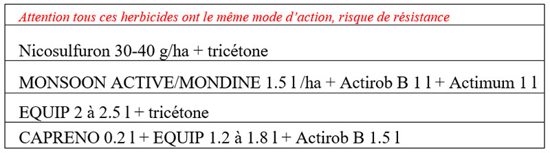 Exemples de solutions en rattrapage de postlevée