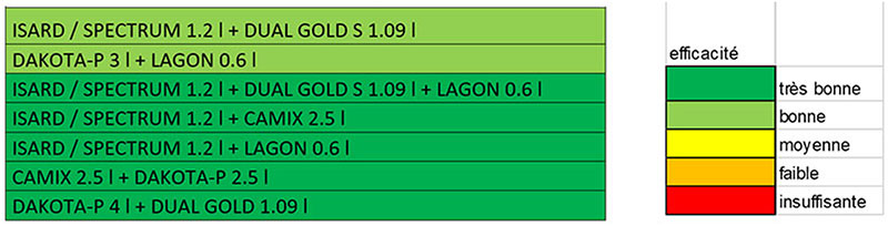 Solutions herbicides de prélevée à privilégier sur ray-grass (dose/ha)