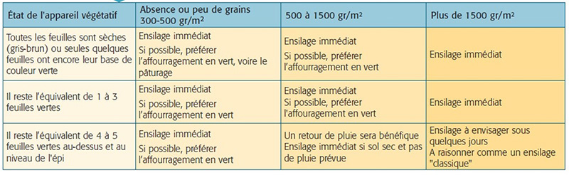 Grille d’aide à la décision d’ensiler pour un maïs fourrage en situation de stress hydrique au stade grain 1/3 vitreux, 1/3 pâteux, 1/3 laiteux, en fonction du nombre de grains estimé et de l’état de l’appareil végétatif