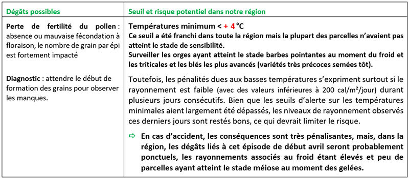 Parcelles à dernière feuille étalée – méiose (le sommet de l’épi atteint la ligule de l’avant dernière feuille) au moment du froid 