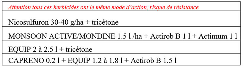 Exemples de solutions en rattrapage de postlevée