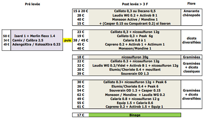 Exemples de programmes avec présence ou non de graminées, en pression modérée, et des dicotylédones classiques et difficiles, en abondance > prélevée légère puis postlevée ou postlevée en un ou deux passages