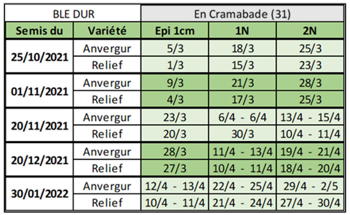 Dates prévisionnelles des stades épi 1 cm, 1 nœud et 2 nœuds en blé dur