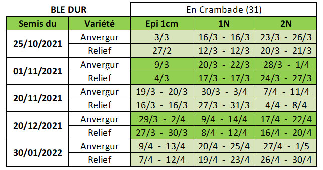 Dates prévisionnelles des stades épi 1 cm, 1 nœud et 2 nœuds en blé dur