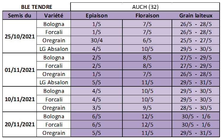 Dates prévisionnelles des stades épiaison à grain laiteux en blé tendre – Auch (32)