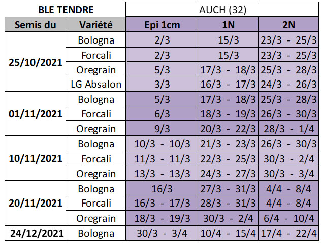 Dates prévisionnelles des stades épi 1 cm, 1 nœud et 2 nœuds en blé tendre