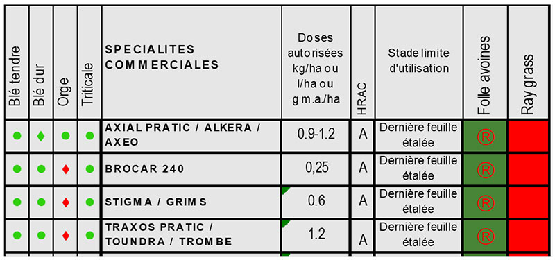 Herbicides antigraminées utilisables après le stade 2 nœuds des céréales hiver