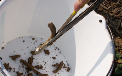 Obtenir des mesures de reliquats azotés fiables