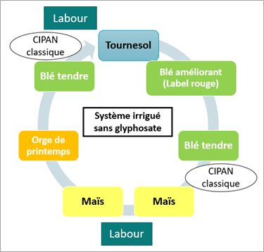 Figure 1 : Rotation mise en œuvre sur le dispositif CAP à Boigneville (91)