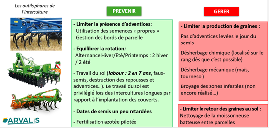 Tableau 1 : leviers mis en œuvre depuis l’automne 2016 pour gérer les ray-grass résistants sur le dispositif CAP à Boigneville (91)
