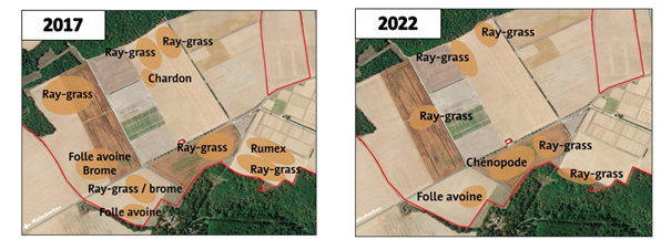 Figure 3 : évolution des zones très infestées en adventices sur le dispositif Cap à Boigneville (91) en 2017 (première année de l’essai) et 2022