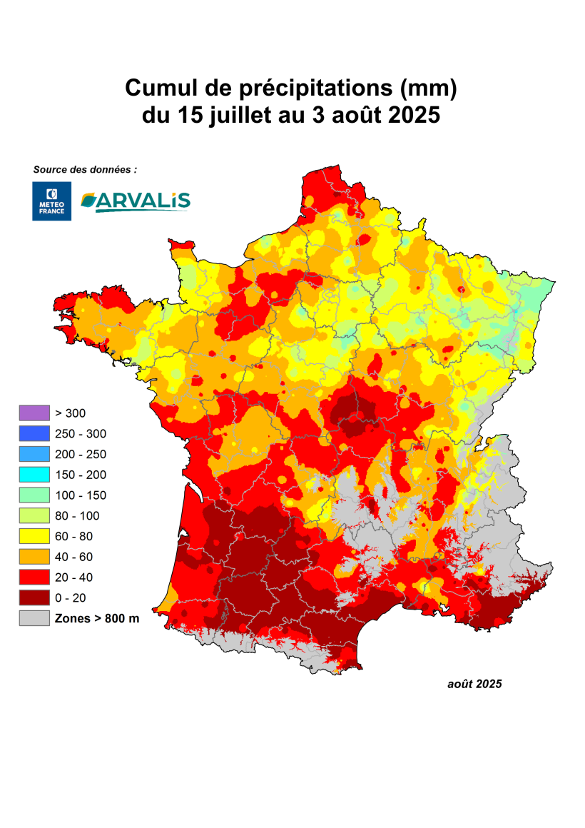 Cumul de précipitations (mm), période du 15/07/2025 au 03/08/2025