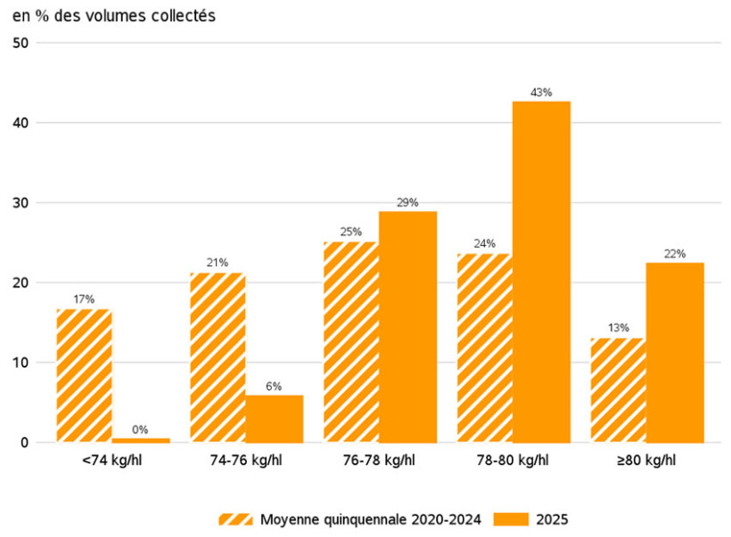 Figure 1 : Distribution de la collecte française de blé tendre en fonction des poids spécifiques – enquête FranceAgriMer/ARVALIS récolte 2025