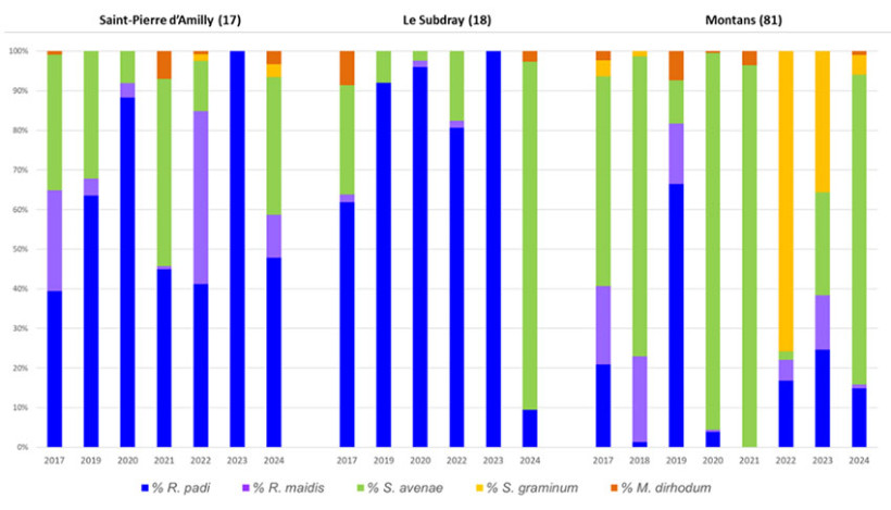 Figure 2 : Part relative des différentes espèces de pucerons prélevés à l’automne sur plantules d’orge et de blé sur trois sites (départements 17, 18 et 81), suivant l’année