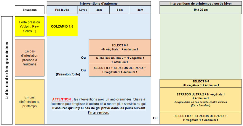 Tableau 1 : Proposition de stratégie de désherbage pour gérer une flore graminées en lin d’hiver
