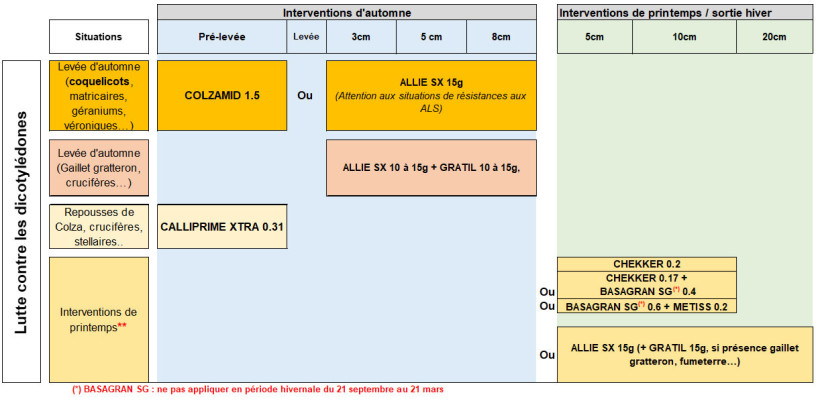 Tableau 2 : Proposition de stratégie de désherbage pour gérer une flore dicotylédone
